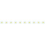 白い花のライン