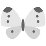 モンシロチョウ（紋白蝶）