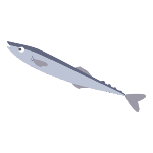 さんま（秋刀魚）