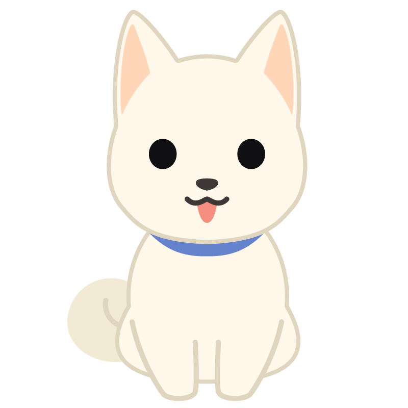 柴犬（白）