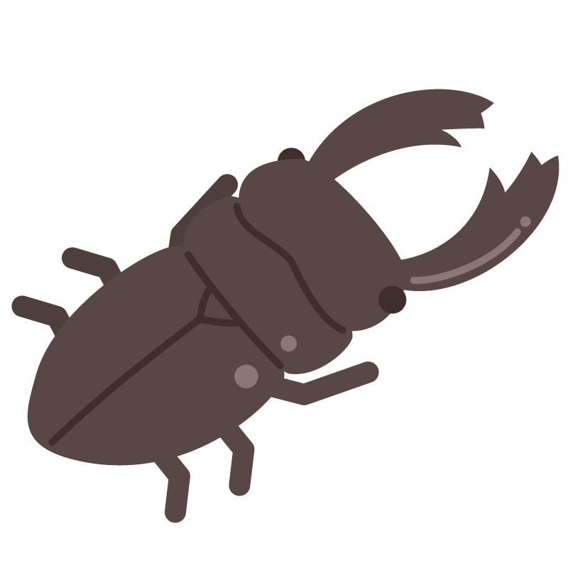 クワガタムシ