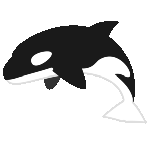 シャチ