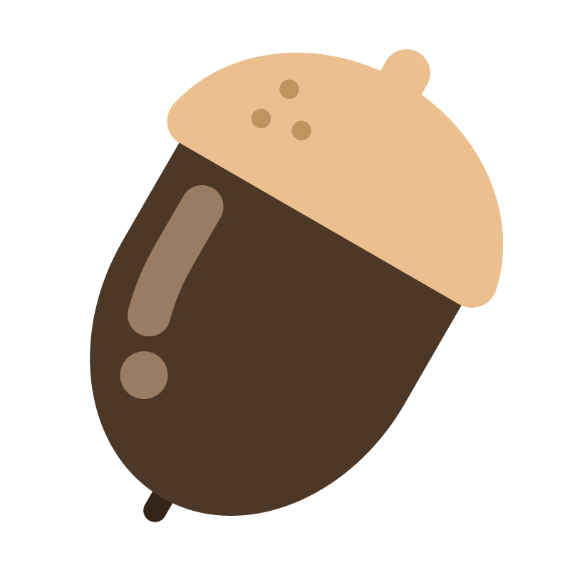 どんぐり