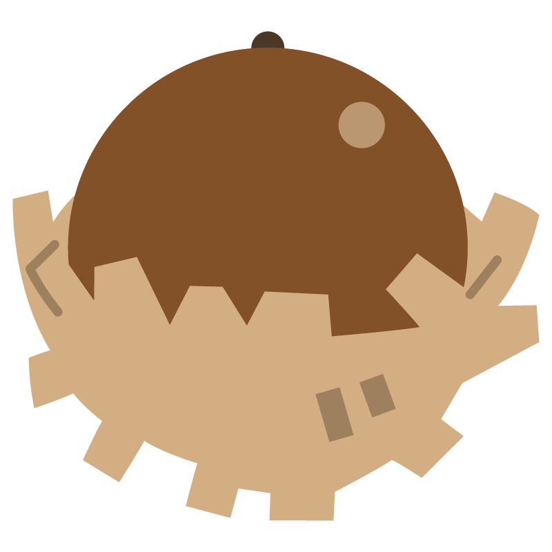 どんぐり（クヌギ）